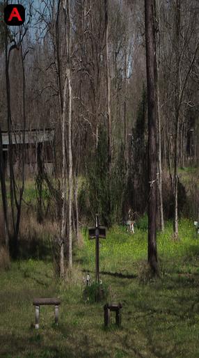 Texas Killing Fields