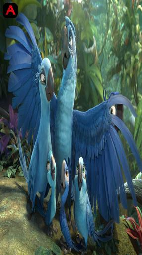 Rio 2