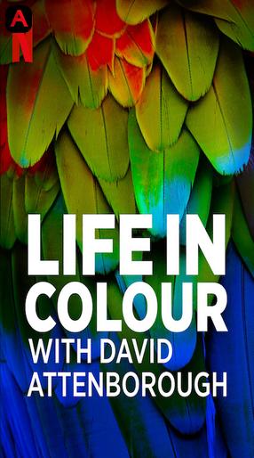 Life In Colour With David Attenborough