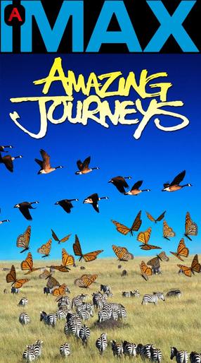 Amazing Journeys