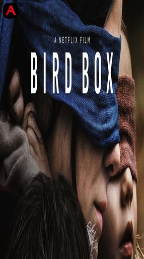 Bird Box