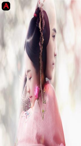Dreaming Back to the Qing Dynasty
