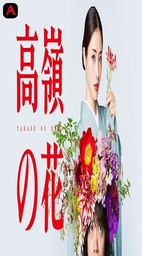 Takane no Hana/Born to be a Flower