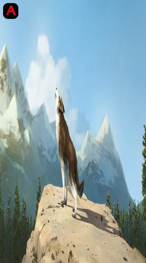 White Fang