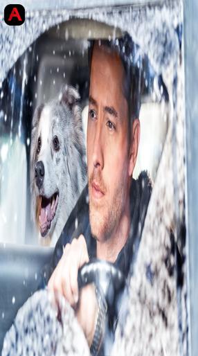 The Noel Diary