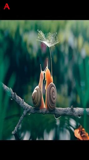 Life in The Undergrowth