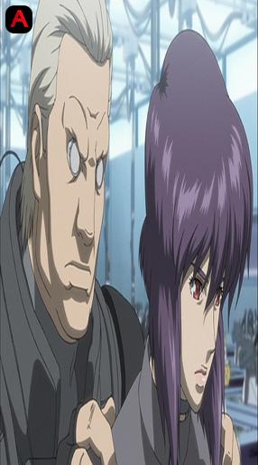 Ghost in the Shell: Solid State Society